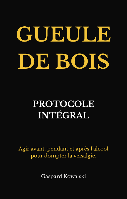 Gueule de Bois - Protocole Intégral
par Gaspard Kowalski